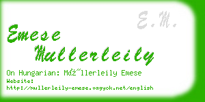 emese mullerleily business card